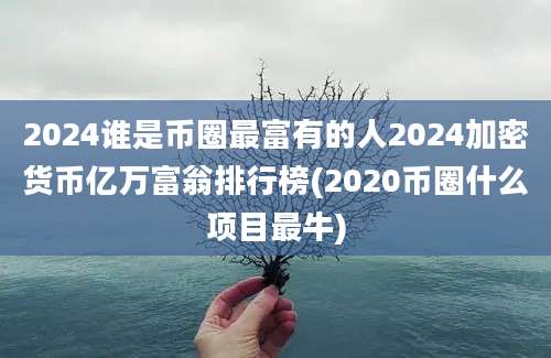 2024谁是币圈最富有的人2024加密货币亿万富翁排行榜(2020币圈什么项目最牛)