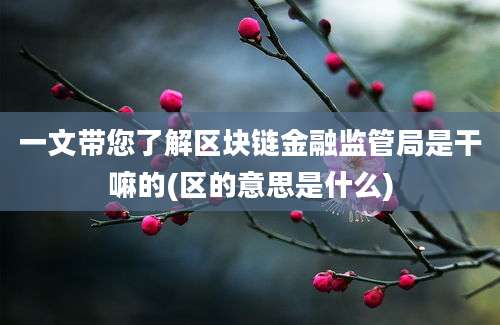 一文带您了解区块链金融监管局是干嘛的(区的意思是什么)