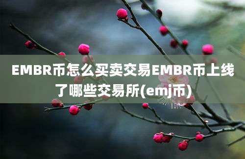 EMBR币怎么买卖交易EMBR币上线了哪些交易所(emj币)