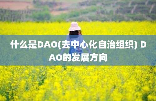 什么是DAO(去中心化自治组织) DAO的发展方向