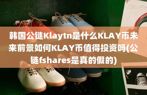 韩国公链Klaytn是什么KLAY币未来前景如何KLAY币值得投资吗(公链fshares是真的假的)