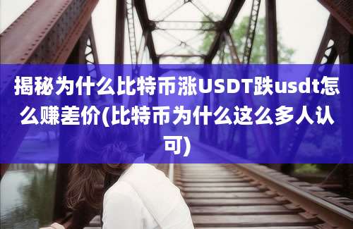 揭秘为什么比特币涨USDT跌usdt怎么赚差价(比特币为什么这么多人认可)