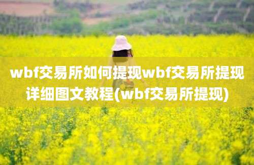 wbf交易所如何提现wbf交易所提现详细图文教程(wbf交易所提现)