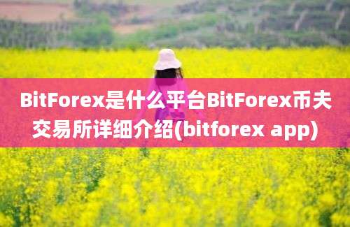 BitForex是什么平台BitForex币夫交易所详细介绍(bitforex app)