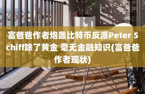 富爸爸作者炮轰比特币反派Peter Schiff除了黄金 毫无金融知识(富爸爸作者现状)