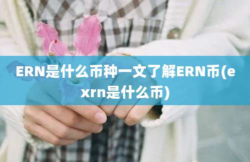 ERN是什么币种一文了解ERN币(exrn是什么币)