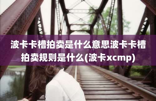 波卡卡槽拍卖是什么意思波卡卡槽拍卖规则是什么(波卡xcmp)