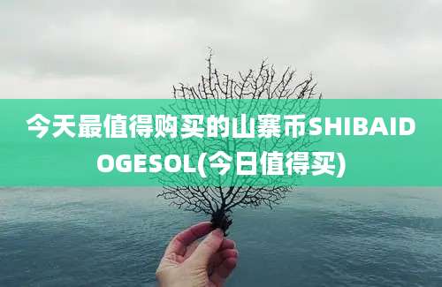 今天最值得购买的山寨币SHIBAIDOGESOL(今日值得买)