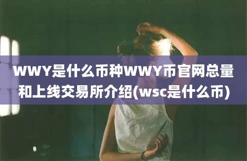 WWY是什么币种WWY币官网总量和上线交易所介绍(wsc是什么币)