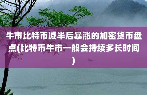 牛市比特币减半后暴涨的加密货币盘点(比特币牛市一般会持续多长时间)