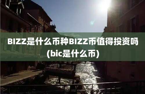 BIZZ是什么币种BIZZ币值得投资吗(bic是什么币)