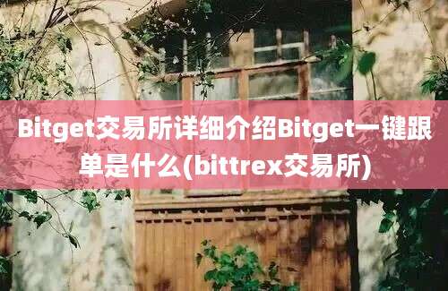 Bitget交易所详细介绍Bitget一键跟单是什么(bittrex交易所)