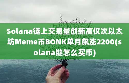 Solana链上交易量创新高仅次以太坊Meme币BONK单月飙涨2200(solana链怎么买币)