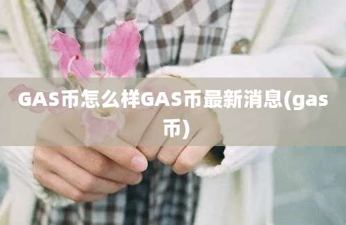 GAS币怎么样GAS币最新消息(gas 币)