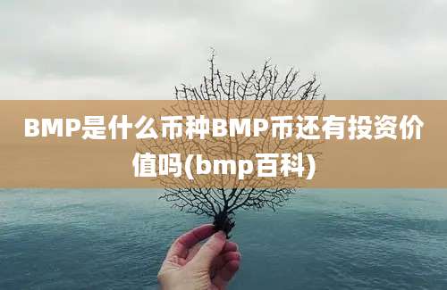 BMP是什么币种BMP币还有投资价值吗(bmp百科)