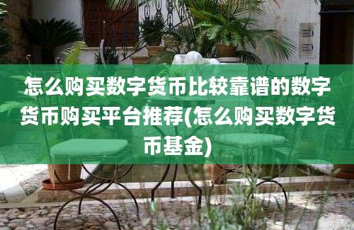 怎么购买数字货币比较靠谱的数字货币购买平台推荐(怎么购买数字货币基金)