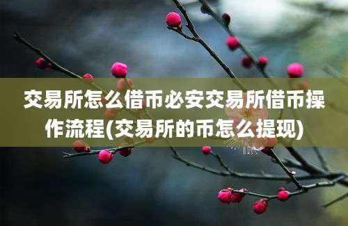 交易所怎么借币必安交易所借币操作流程(交易所的币怎么提现)