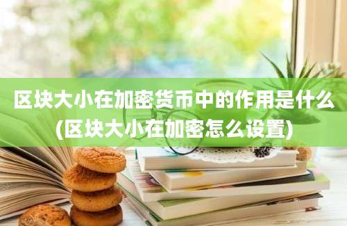 区块大小在加密货币中的作用是什么(区块大小在加密怎么设置)