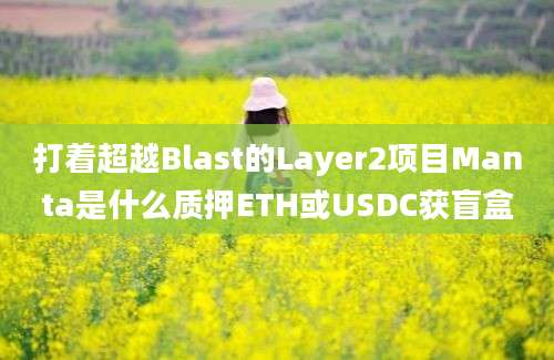 打着超越Blast的Layer2项目Manta是什么质押ETH或USDC获盲盒