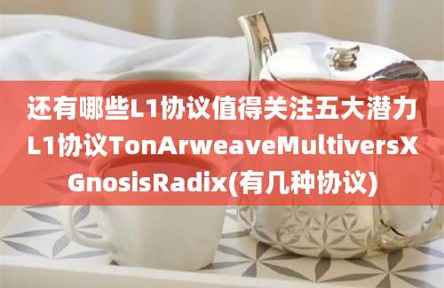 还有哪些L1协议值得关注五大潜力L1协议TonArweaveMultiversXGnosisRadix(有几种协议)