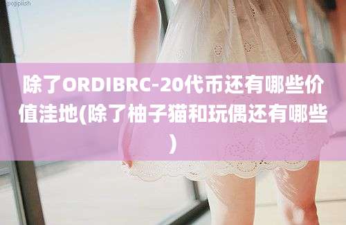 除了ORDIBRC-20代币还有哪些价值洼地(除了柚子猫和玩偶还有哪些)