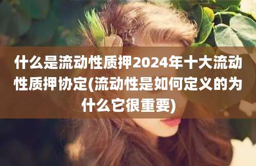 什么是流动性质押2024年十大流动性质押协定(流动性是如何定义的为什么它很重要)