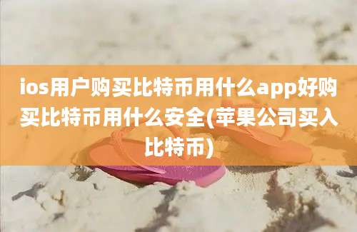 ios用户购买比特币用什么app好购买比特币用什么安全(苹果公司买入比特币)