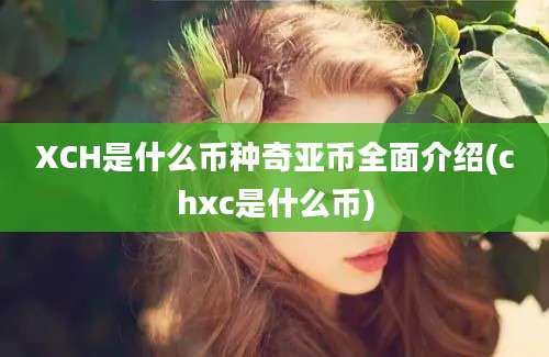 XCH是什么币种奇亚币全面介绍(chxc是什么币)