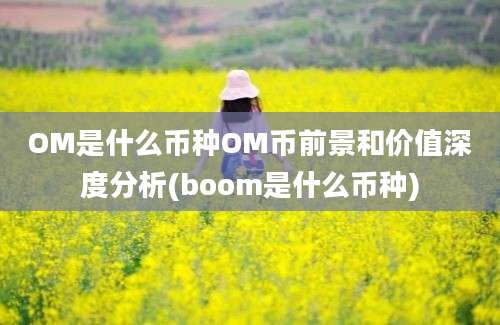 OM是什么币种OM币前景和价值深度分析(boom是什么币种)