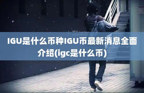 IGU是什么币种IGU币最新消息全面介绍(igc是什么币)