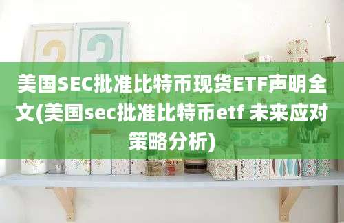 美国SEC批准比特币现货ETF声明全文(美国sec批准比特币etf 未来应对策略分析)