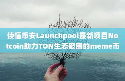 读懂币安Launchpool最新项目Notcoin助力TON生态破圈的meme币