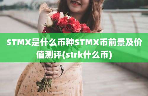 STMX是什么币种STMX币前景及价值测评(strk什么币)