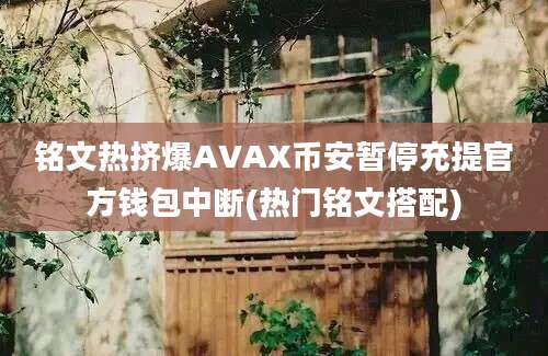 铭文热挤爆AVAX币安暂停充提官方钱包中断(热门铭文搭配)