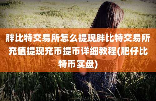 胖比特交易所怎么提现胖比特交易所充值提现充币提币详细教程(肥仔比特币实盘)