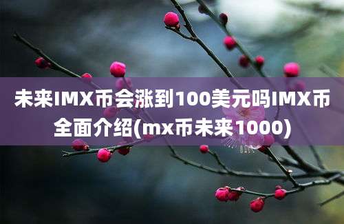 未来IMX币会涨到100美元吗IMX币全面介绍(mx币未来1000)