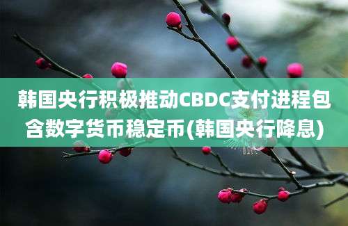 韩国央行积极推动CBDC支付进程包含数字货币稳定币(韩国央行降息)